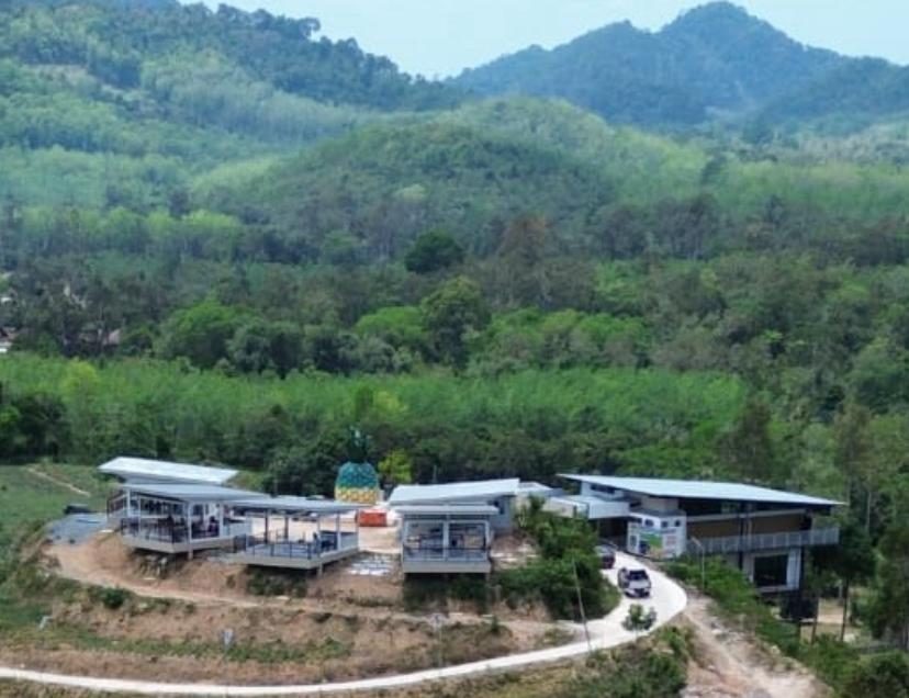 Pemandangan udara bangunan resort MD2 Botanic di puncak bukit yang dikelilingi hutan