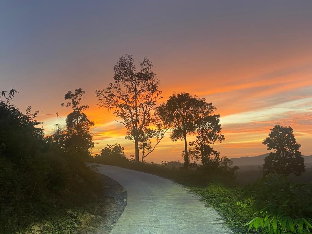 Jalan masuk berliku menaiki bukit melalui pepohon ketika senja
